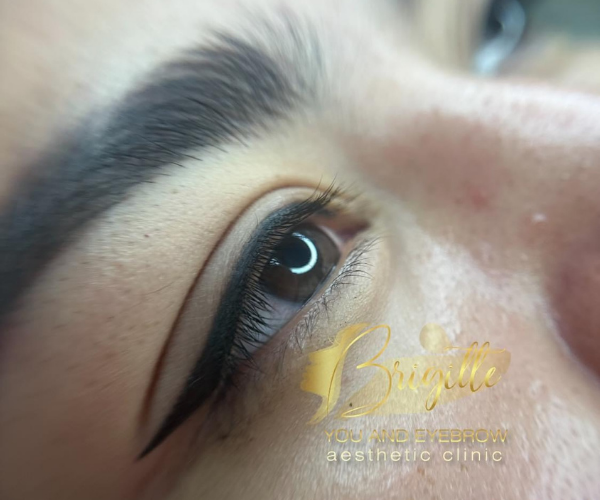 Brigitte’s PMU Training